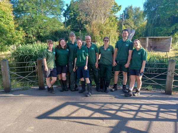 A team of zookeepers standing infront of an island of foliage