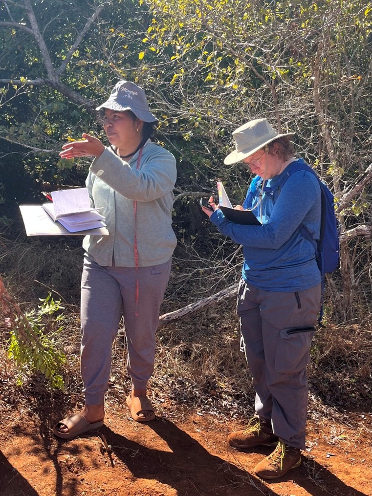 Two individuals standing in the woods making notes in notepad
