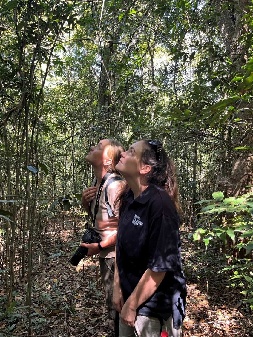 A couple of people standing in the woods looking up at the trees. One is wearing a Bristol Zoological Society shirt and the other is holding a long lens camera.