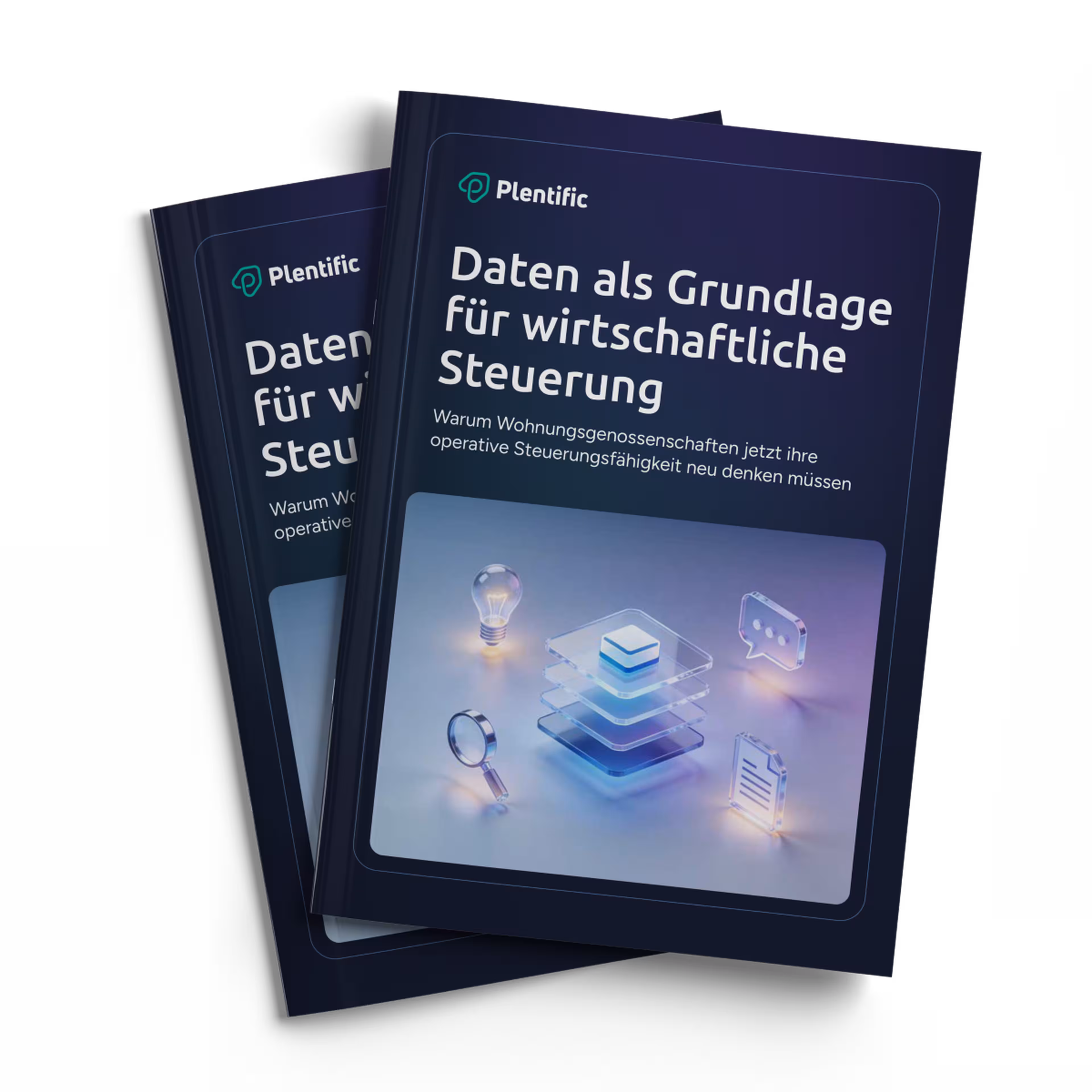de data governance report cover 2