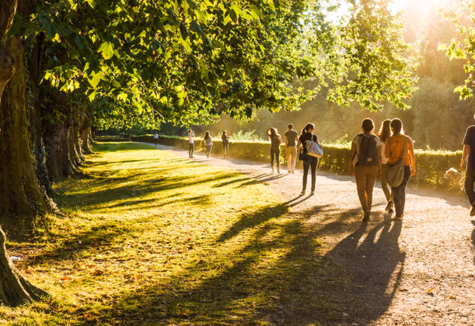 a sustainable future