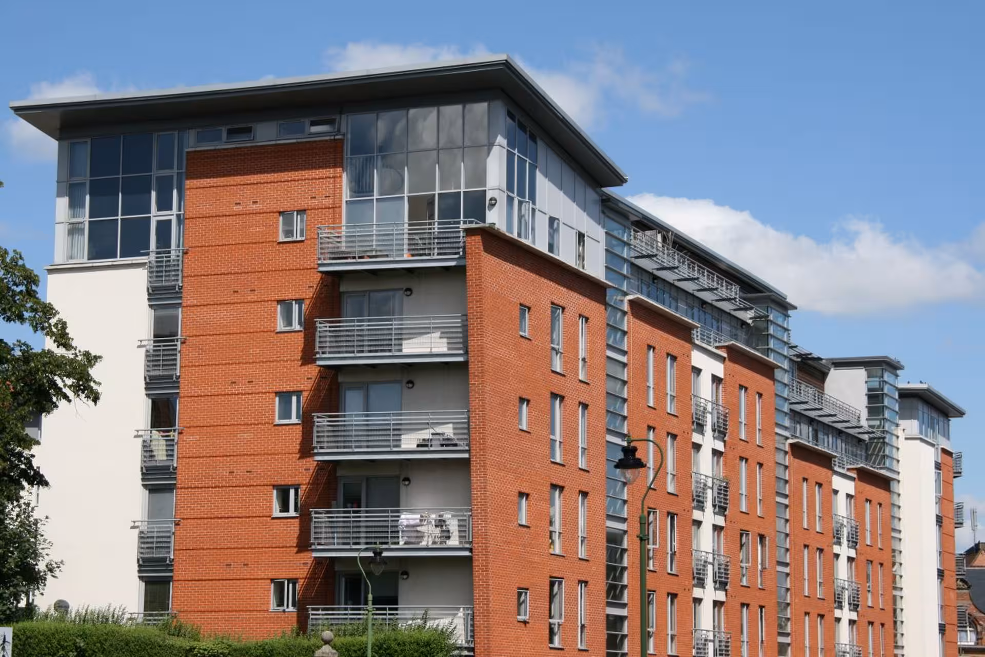 plentific coridon cs 2