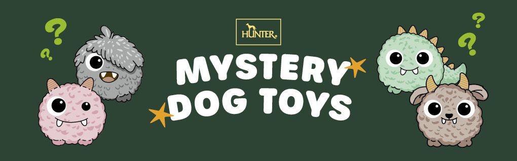 Abbildung von vier Monster-Hundespielzeugen im Cartoon-Stil mit Fragezeichen, die auf dunkelgrünem Hintergrund in fetten Buchstaben mit „Hunter Mystery Dog Toys“ beschriftet sind.