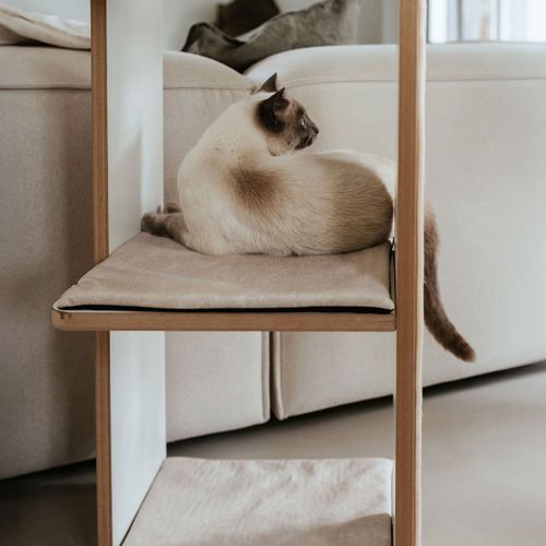 Eine Siamkatze, die auf einem beigen Kissen in einem hölzernen Kratzturm neben einem Sofa faulenzt.