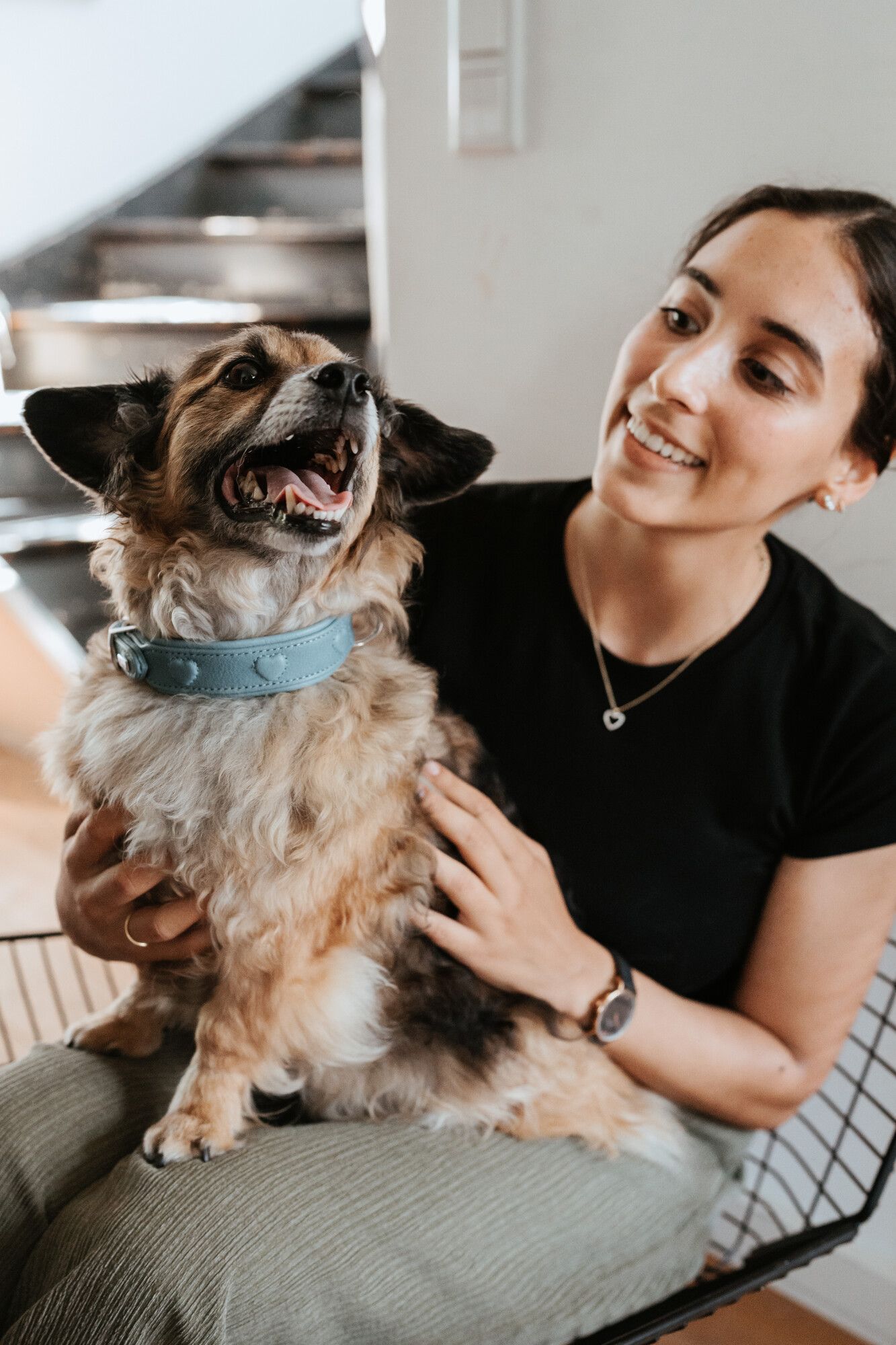 Eine Person lächelt, während sie einen fröhlichen, flauschigen Hund im Arm hält, der ein blaues Halsband trägt. Sie befinden sich in einem Innenraum in der Nähe einer Treppe.