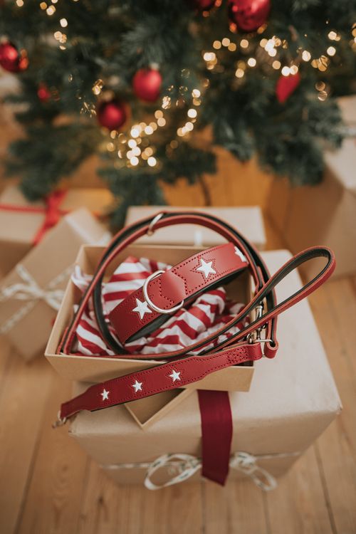 Magic Star Halsband und Leine in rot mit weißen Sternen in einer offenen Geschenkbox unter einem geschmückten Weihnachtsbaum mit Lichtern und Ornamenten.