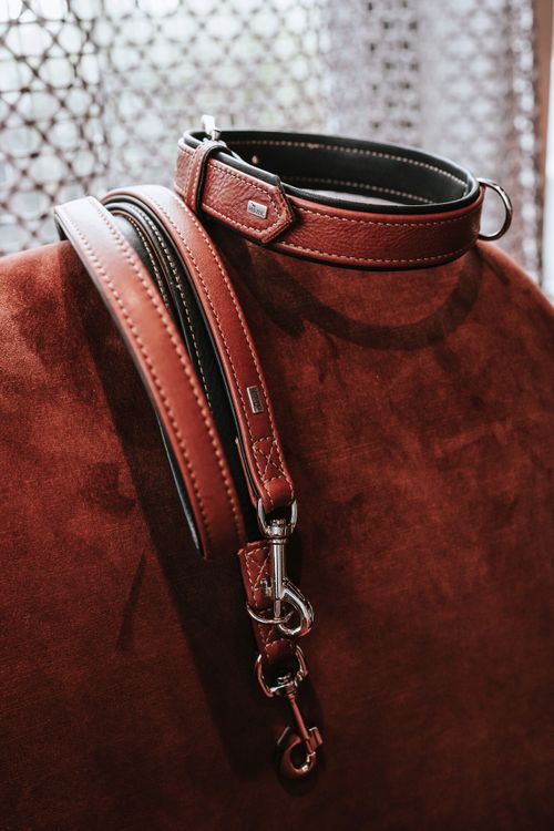 Cognac farbendes Lederhalsband und Leine mit Metallverschlüssen, präsentiert auf einer passenden Lederoberfläche mit gemustertem Hintergrund.
