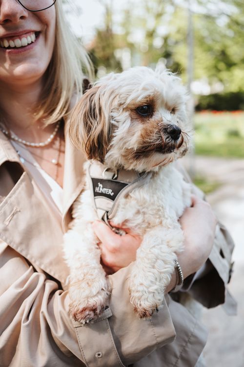 Lächelnde Person, die an einem sonnigen Tag im Freien einen kleinen, flauschigen Hund mit Geschirr hält.