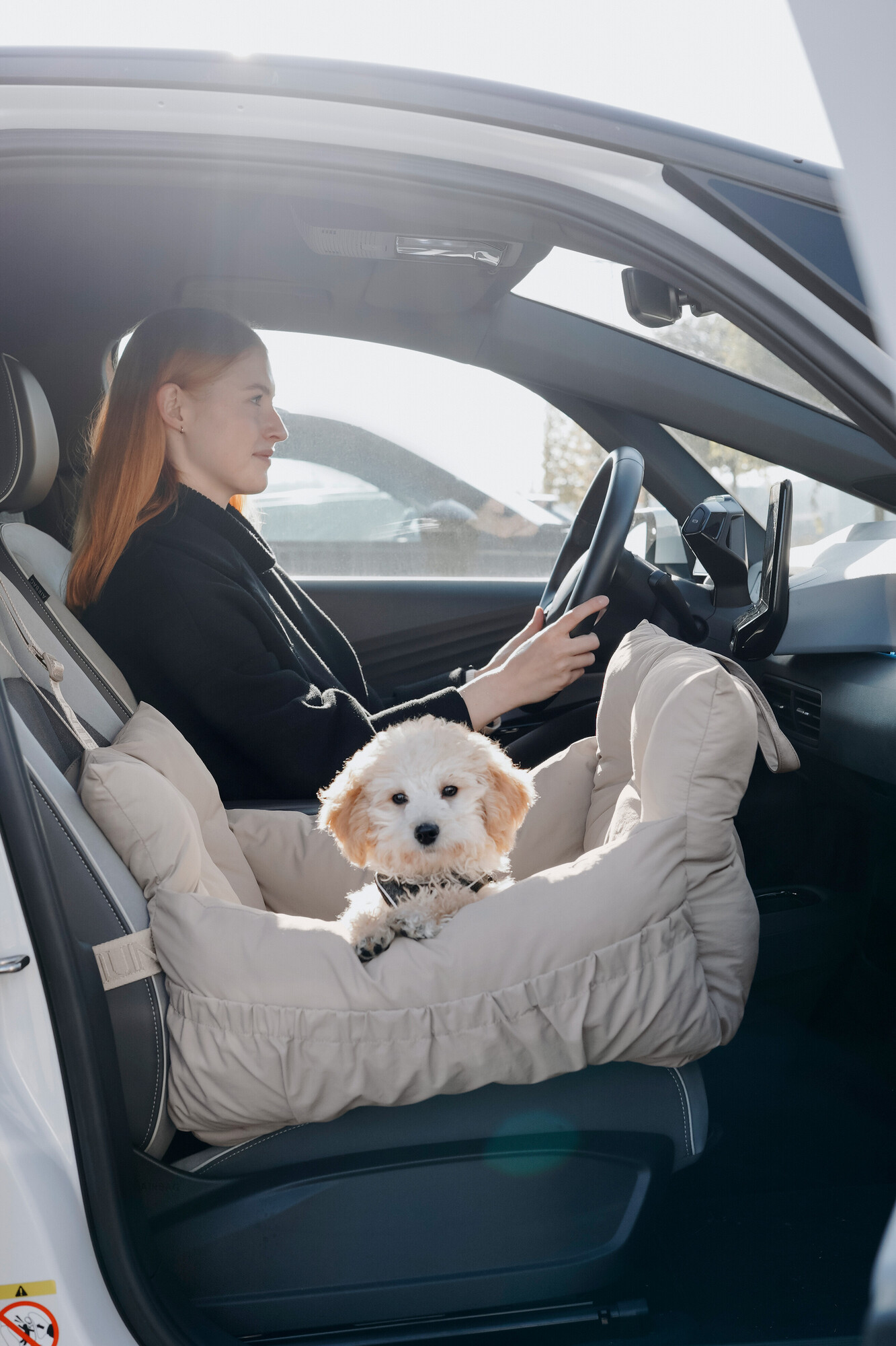 Accessoires en speelgoed voor honden | België