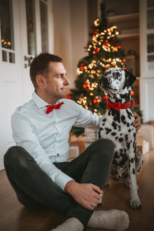 Mann in weißem Hemd und roter Fliege sitzt auf dem Boden mit einem Dalmatiner, der ein rotes Schleifenhalsband trägt, im Hintergrund verschwommene Lichter eines Weihnachtsbaums.