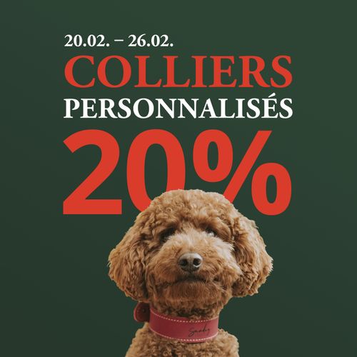 Chien brun tout doux avec un collier rouge sur fond vert. Texte : « 20/02-26/02. Colliers personnalisés 20 % de réduction ».