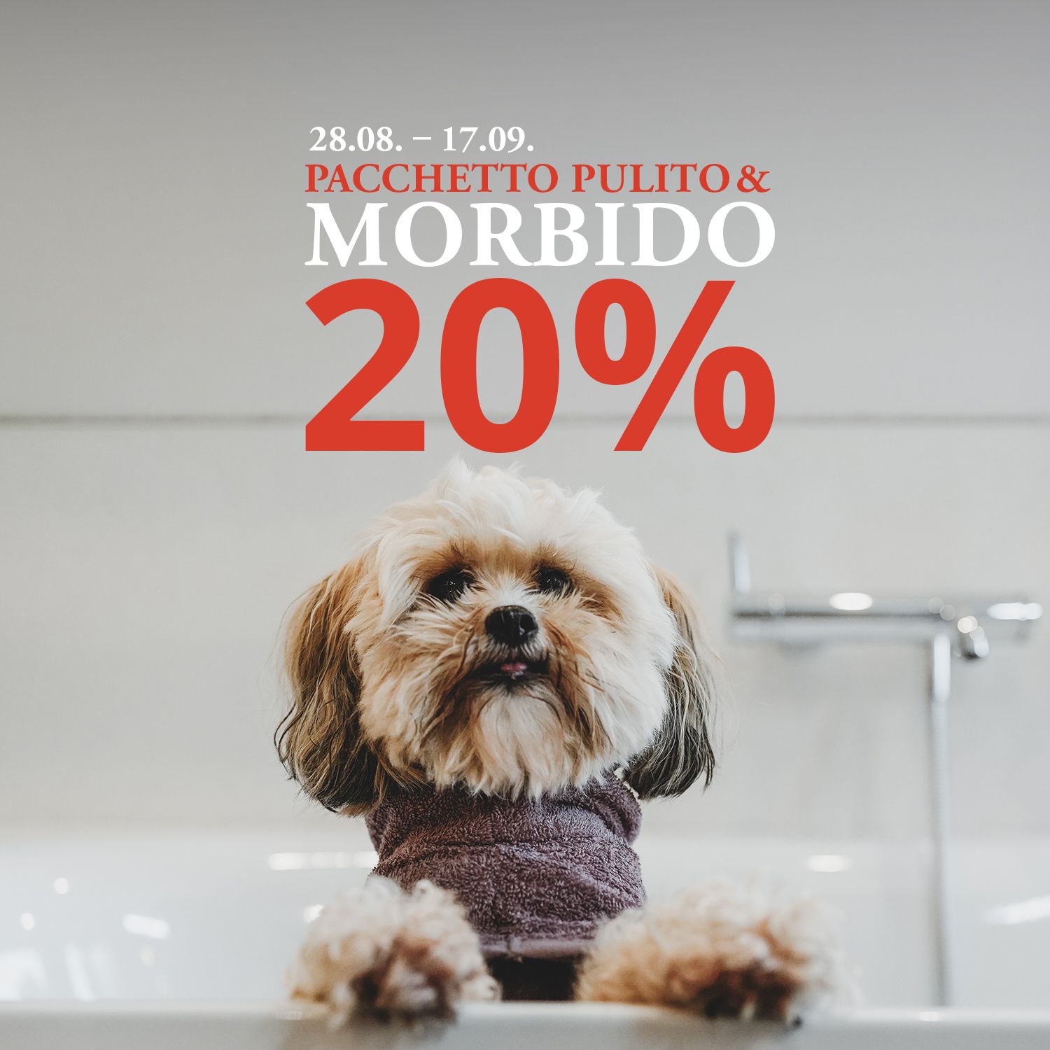 Un cagnolino peloso in accappatoio nella vasca da bagno, con una didascalia che offre uno sconto del 20% su un set da bagno dal 28 agosto al 17 settembre.