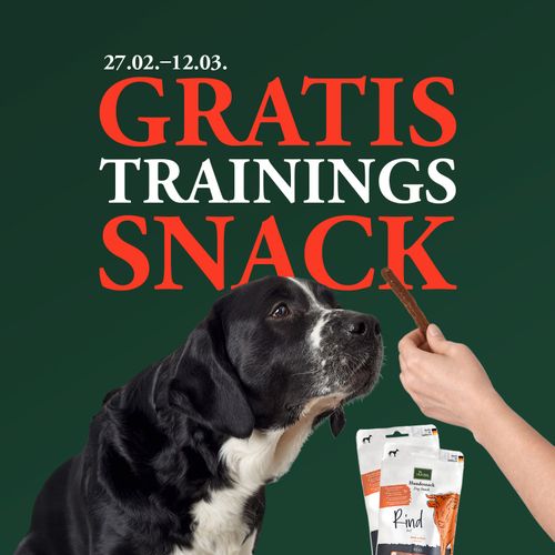 Hond die naar een traktatie in een hand kijkt, met promotietekst over gratis trainingssnacks van 27 februari tot 12 maart.