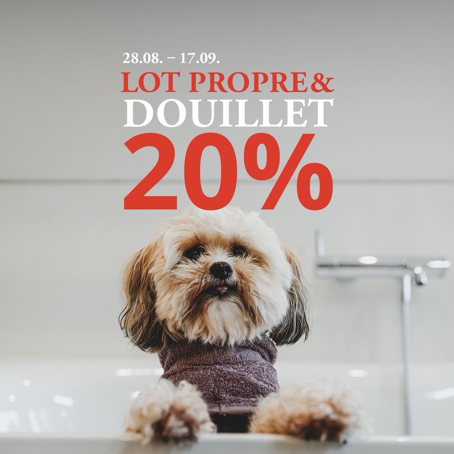 Un chien tout doux en peignoir dans la baignoire, accompagné d'un texte proposant une réduction de 20 % sur un ensemble douillet du 28 août au 17 septembre.