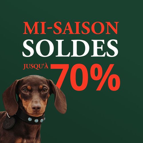 Un teckel avec un collier est assis à côté d'un texte en gras : « Mi-Saison soldes jusqu´á 70 % » sur fond vert.