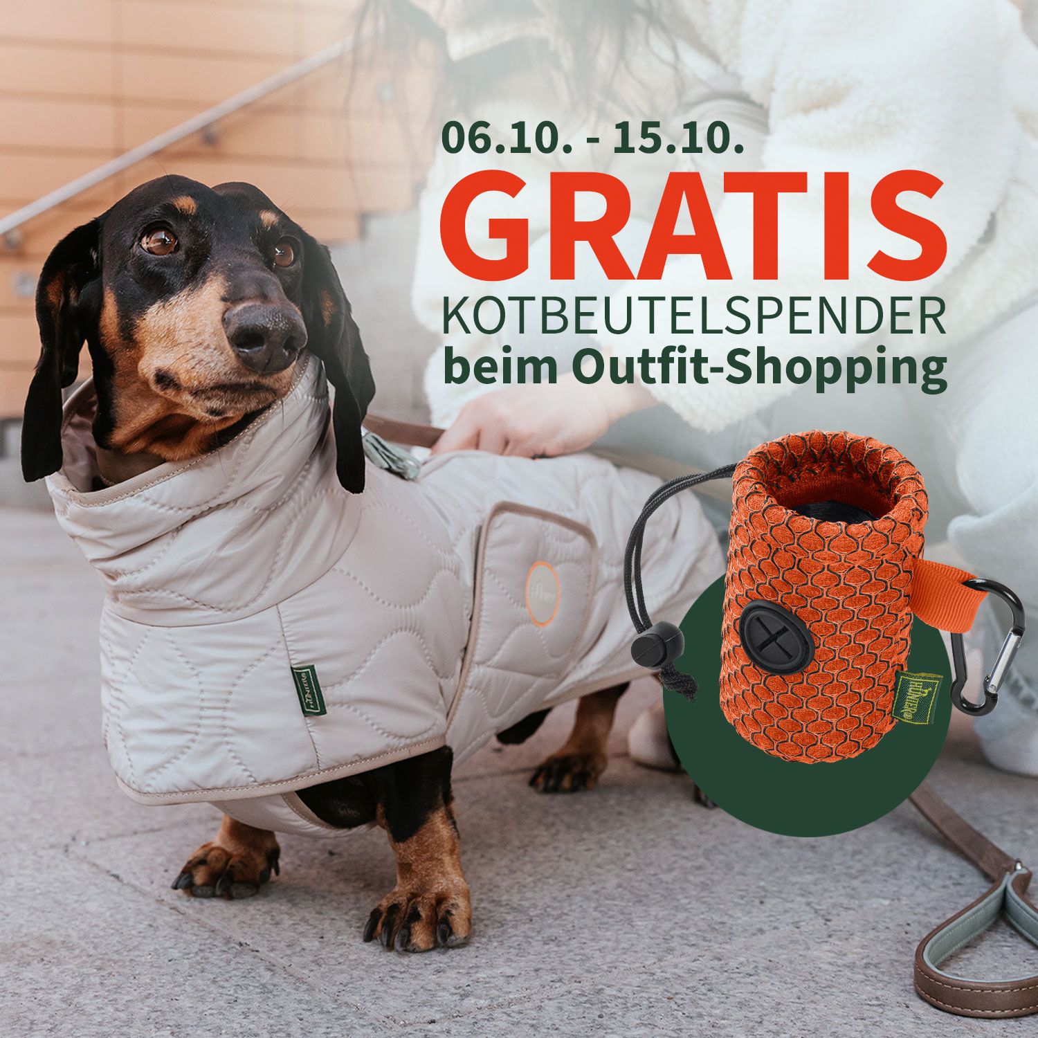 Dackel in einem gesteppten Mantel an der Leine, Werbeangebot für einen kostenlosen Kotbeutelspender.