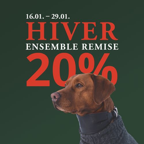 Un chien brun avec un collier et un pull est assis devant un fond vert. Le texte indique : « 16-29 janvier, 20 % de réduction sur les ensembles d'hiver ».