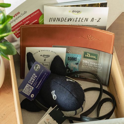 Ein offener Karton mit verschiedenen Hundeutensilien. Unteranderem mit einem Plüschtier, einer Rabattkarte und „Hundewissen A–Z“.