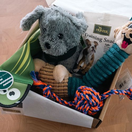 Eine Schachtel mit Tierbedarf auf einer Holzunterlage, darunter Hundespielzeug, ein Stofftier und eine Packung Trainingssnacks mit einem Hundemotiv darauf.