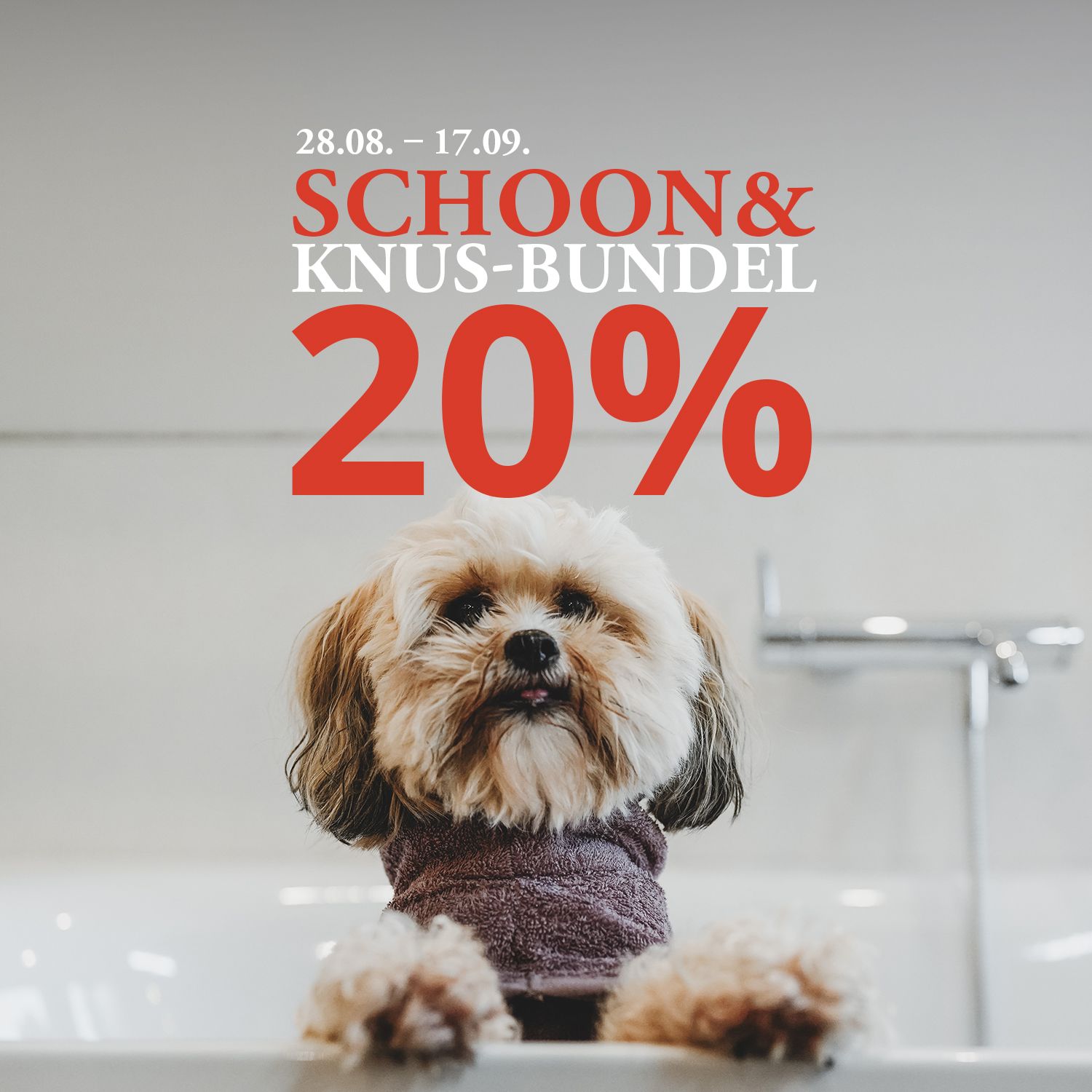 Een pluizige hond in een badjas in het bad, met een tekst waarin van 28 augustus tot en met 17 september een korting van 20 % op een gezellig setje wordt aangeboden.