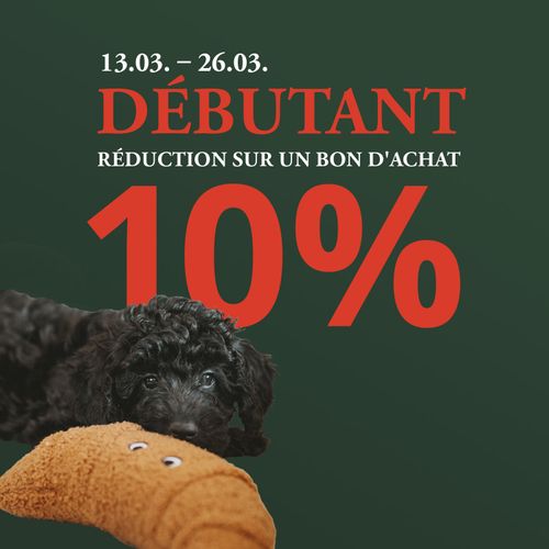 Image promotionnelle avec le texte « Starter débutant réduction sur un bon d´achat 10 % » (réduction de 10 % pour les débutants), des dates et un chiot noir avec un jouet sur fond vert.