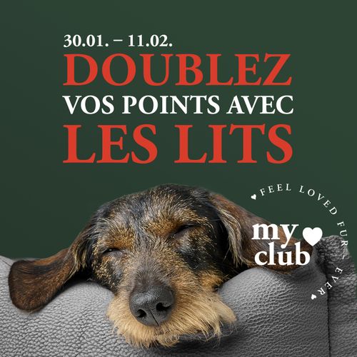 Un chien dort sur un canapé avec le texte « Double points avec les lits » et « feel loved fur-ever » en forme de cœur.