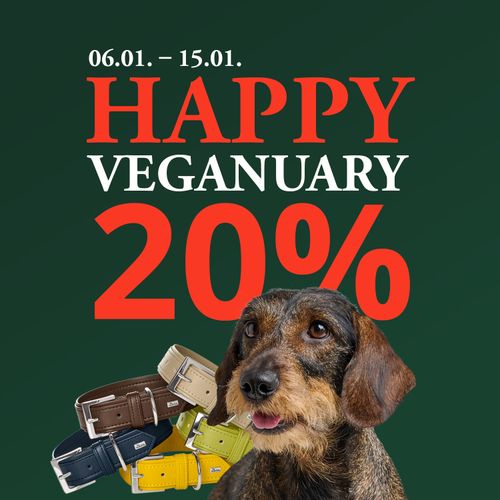 Hund mit bunten Halsbändern, Text lautet „Happy Veganuary 20 %” mit den Daten „06.01 – 15.01” auf dunkelgrünem Hintergrund.