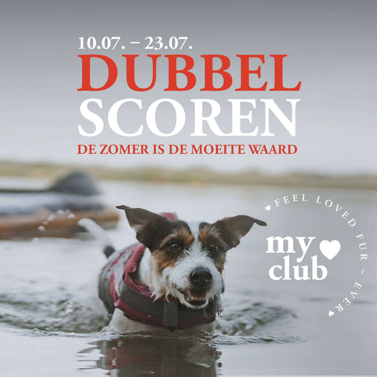 Een hond die in een meer zwemt en een rood zwemvest draagt, met daarboven een reclametekst waarin het gaat om het verzamelen van dubbele punten.