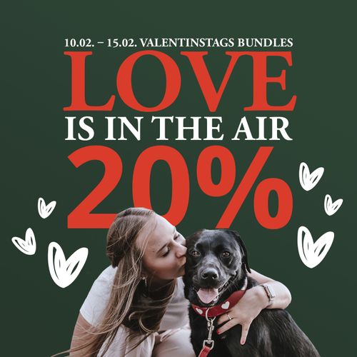 Frau umarmt einen schwarzen Hund vor grünem Hintergrund mit dem Schriftzug „Love is in the Air, 20 % Rabatt“ und Grafiken zum Thema Valentinstag.