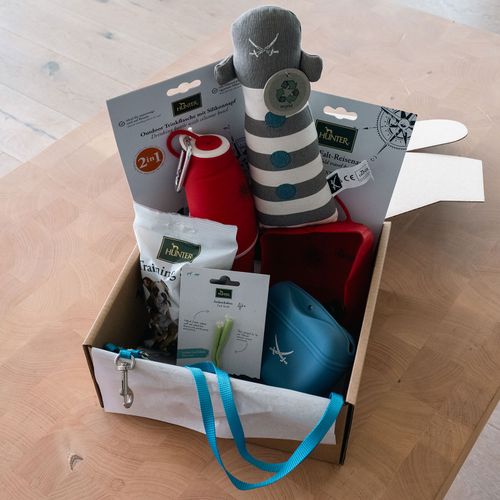 Eine Schachtel mit verschiedenen Hundebedarfartikeln: Leckerli-Beutel, Trainingssnacks, Hundespielzeug und eine blaue Leine auf einem Holzboden.