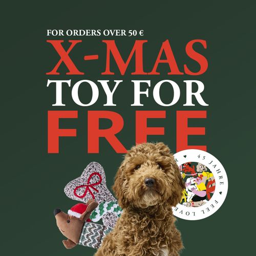Curly brown dog with Christmas toys in front of a dark green background, with eye-catching red lettering X-MAS TOY FOR FREE.