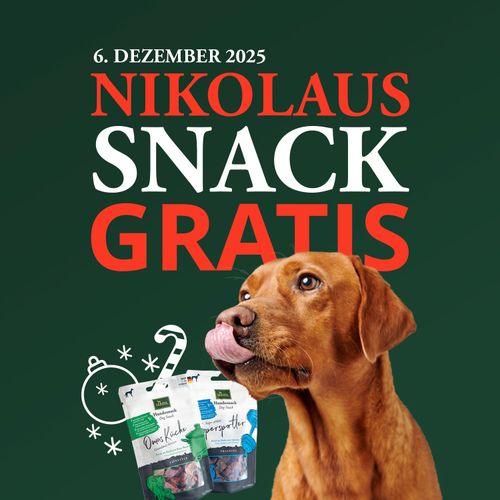 Brauner Hund, der sich neben zwei Snackbeuteln die Lippen leckt, mit großem Schriftzug „Nikolaus Snack Gratis” und „6. Dezember 2025” auf grünem Hintergrund.