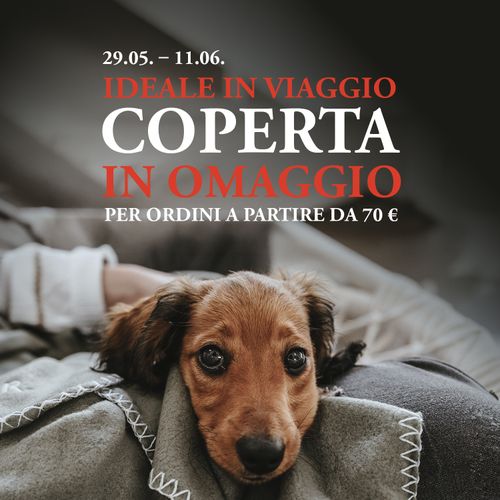 Immagine promozionale con scritta rossa e bianca: “29.05. – 11.06. IDEALE IN VIAGGIO COPERTA IN MAGGIO PER ORDINI A PARTIRE DA 70 €” Sotto la scritta, un bassotto è sdraiato e avvolto in una coperta.