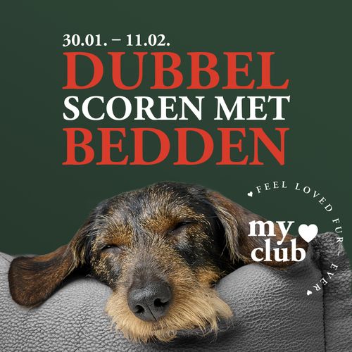 Een hond slaapt op een bank met de tekst ‘Dubbele punten met bedden’ en ‘feel loved fur-ever’ in de vorm van een hart.