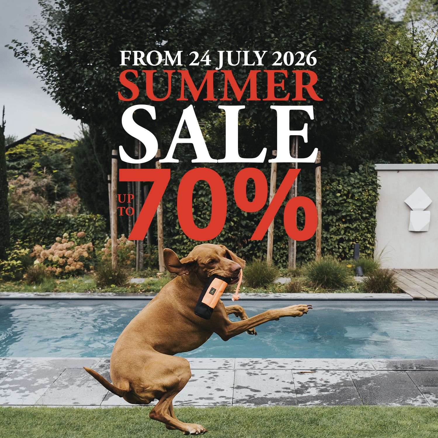Playful dog by a pool with "Summer Sale up to 70%" text, starting July 24, 2026, in vibrant garden setting.