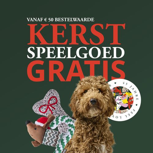 Krulharige bruine hond met kerstspeelgoed voor een donkergroene achtergrond, met opvallende rode letters KERST SPEELGOED GRATIS.