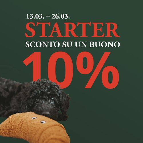 Immagine promozionale con testo “Starter sconto su un buono 10%” e date e un cucciolo nero con un giocattolo su sfondo verde.