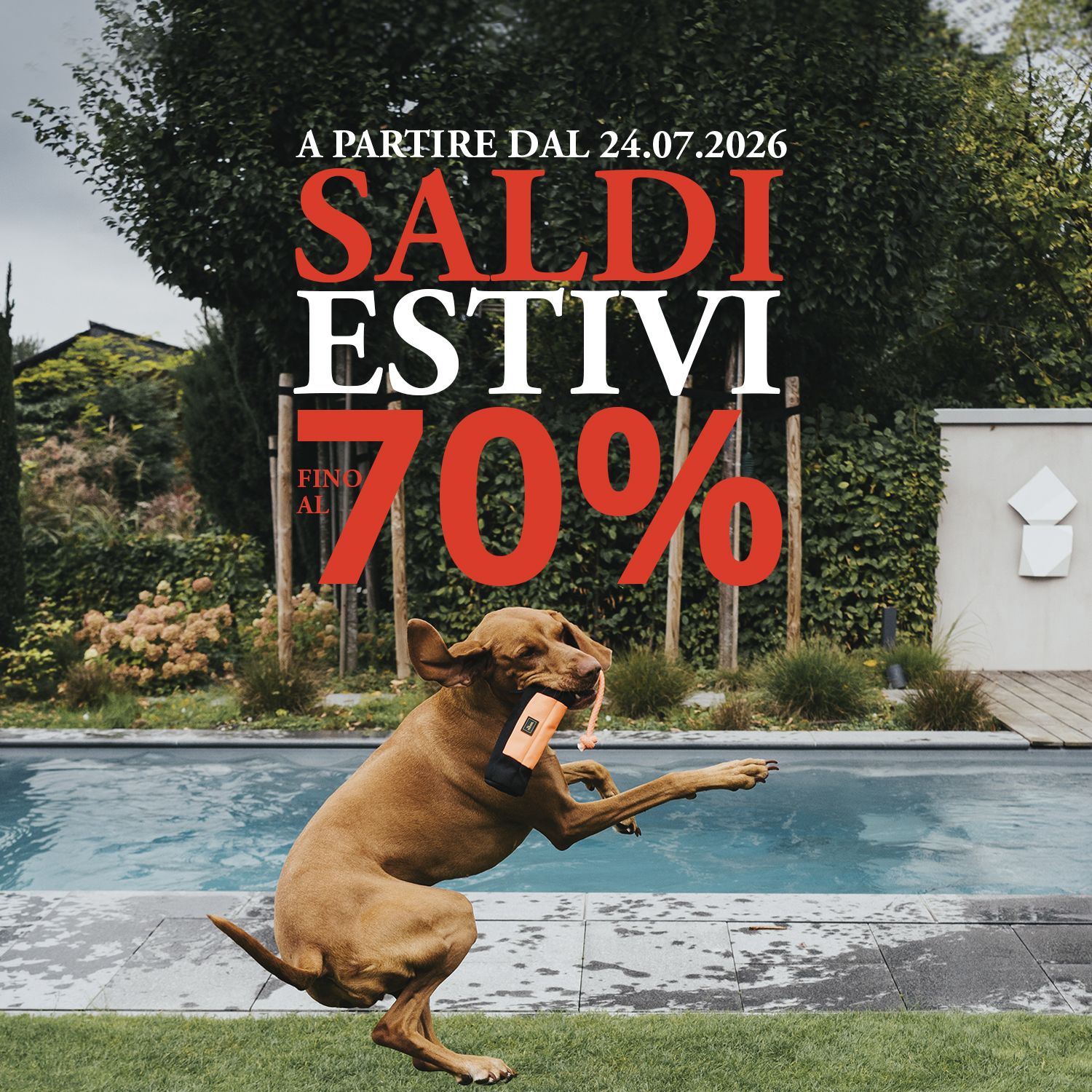 Cagnolino che gioca a bordo piscina con la scritta “Saldi estivi fino al 70%”, a partire dal 24 luglio 2026, in un vivace scenario da giardino.