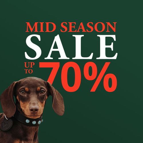 Dachshund with a collar sits beside bold text: "Mid Season Sale bis zu 70%" on a green background.