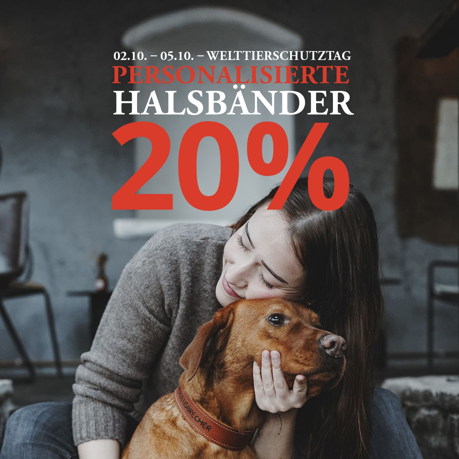 Eine Frau umarmt in einem Raum einen braunen Hund; darüber ist ein Text eingeblendet, der für 20 % Rabatt auf personalisierte Halsbänder wirbt.