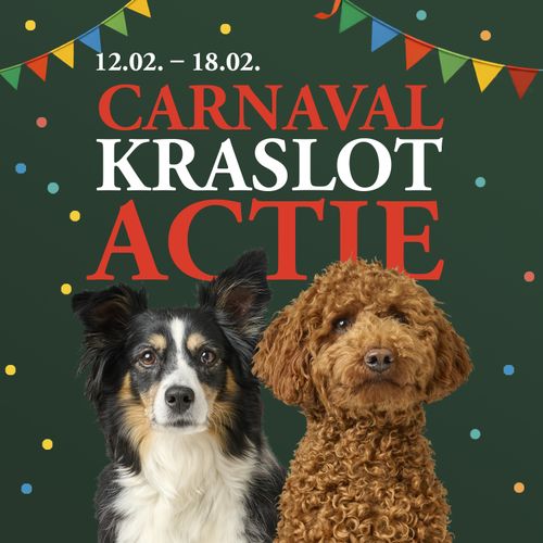 Twee honden zitten onder een tekst die reclame maakt voor een ‘Carnaval’-evenement met kleurrijke spandoeken en confetti op een donkere achtergrond. Data: 12-18 februari.