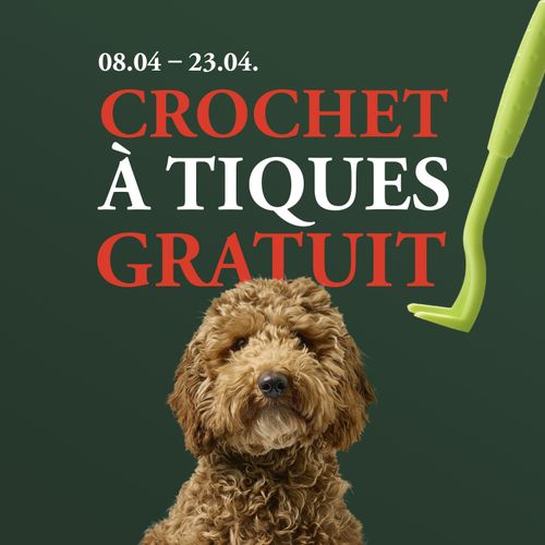 Un chien brun au pelage duveteux sur fond vert. Texte : « Du 8 au 23 avril : crochet à tiques gratuit. » On y voit un tire-tiques vert.