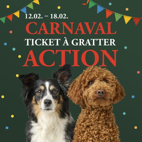 Deux chiens sont assis sous un texte annonçant un événement intitulé « Carnaval », avec des bannières colorées et des confettis sur fond sombre. Dates : du 12 au 18 février.