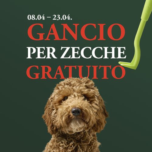 Un cane marrone dal pelo soffice su uno sfondo verde. Testo: «08/04 – 23/04. Gancio per zecche gratuito». È raffigurato un estrattore per zecche di colore verde.