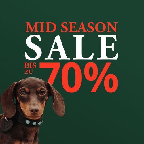 Dackel mit Halsband sitzt neben fettgedrucktem Text: „Mid Season Sale bis zu 70 %” auf grünem Hintergrund.