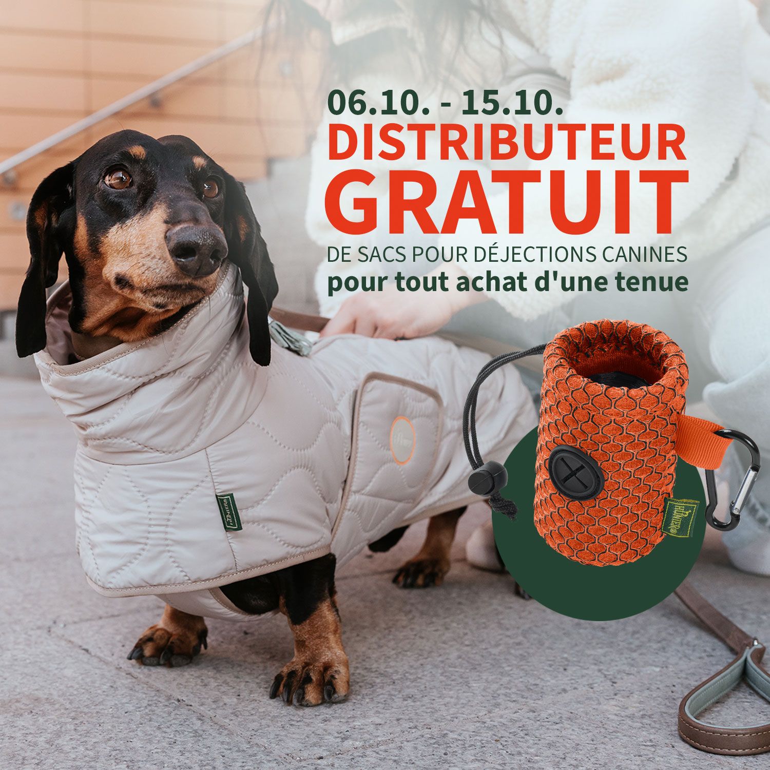 Un teckel en manteau matelassé tenu en laisse, offre promotionnelle pour un distributeur gratuit de sacs à crottes.