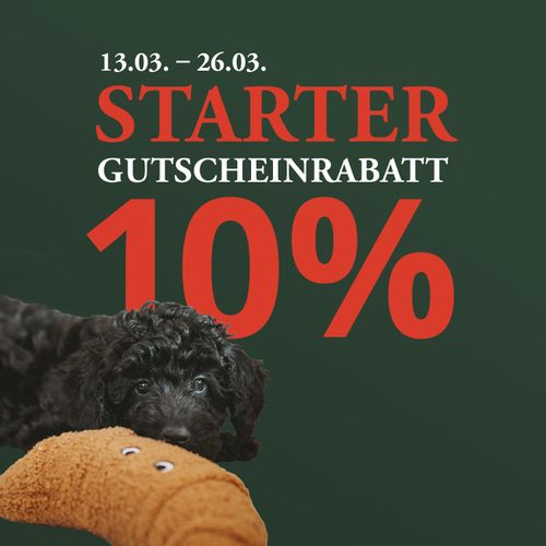 Werbefoto mit dem Text „Starter Gutscheinrabatt 10 %” und Daten sowie einem schwarzen Welpen mit einem Spielzeug auf grünem Hintergrund.