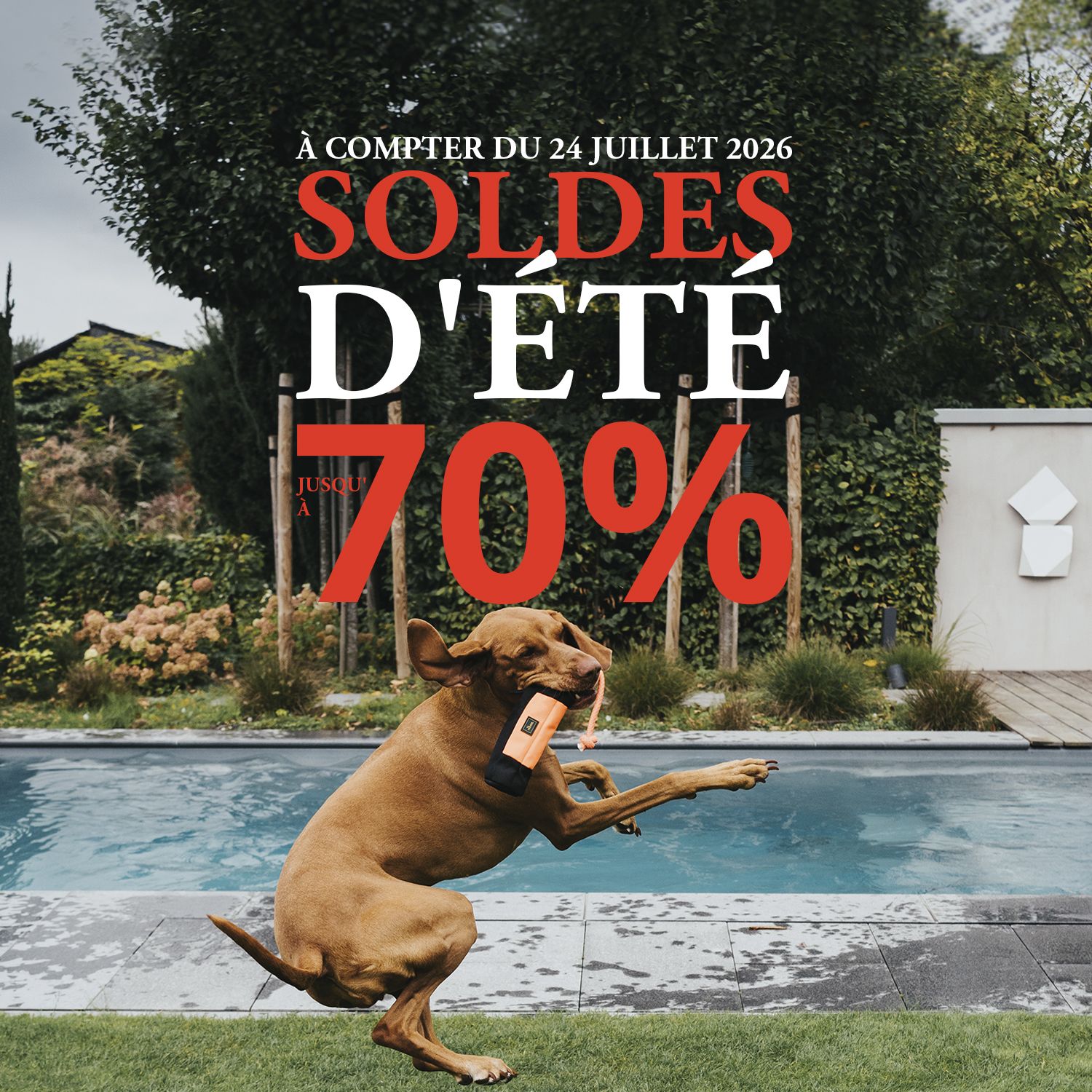 Chien en train de s'amuser au bord d'une piscine, avec l'inscription « Soldes d'été jusqu'à 70 % », à partir du 24 juillet 2026, dans un décor de jardin aux couleurs vives.