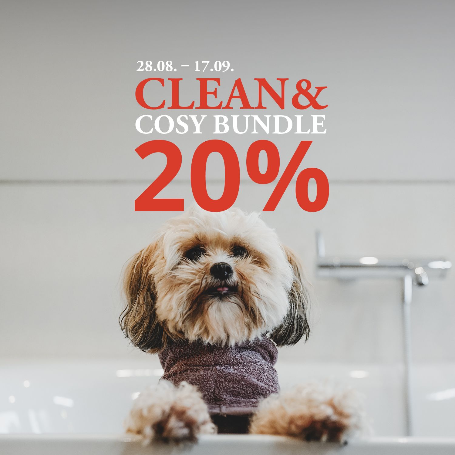 A fluffy dog in a bathrobe in the bath, with text offering a 20 per cent discount on a cosy set from 28 August to 17 September.