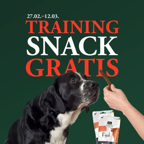 Hund, der auf ein Leckerli in einer Hand schaut, mit Werbetext über kostenlose Trainingssnacks vom 27. Februar bis 12. März.